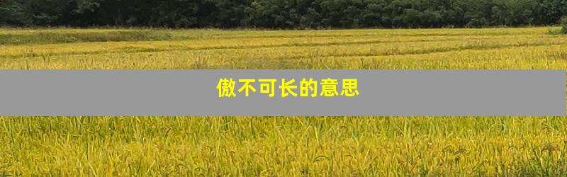 傲不可长的意思