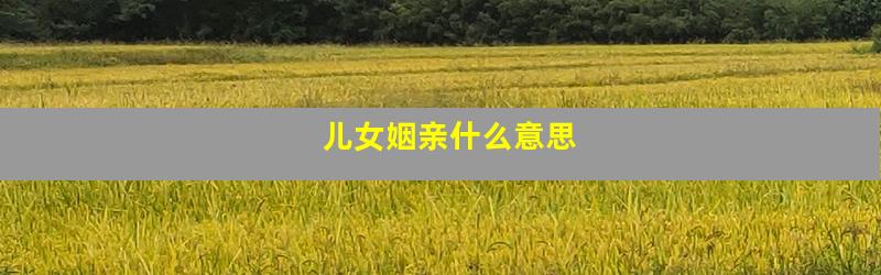儿女姻亲什么意思