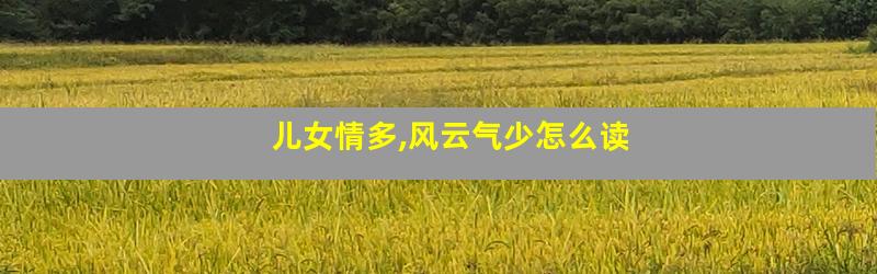 儿女情多,风云气少怎么读