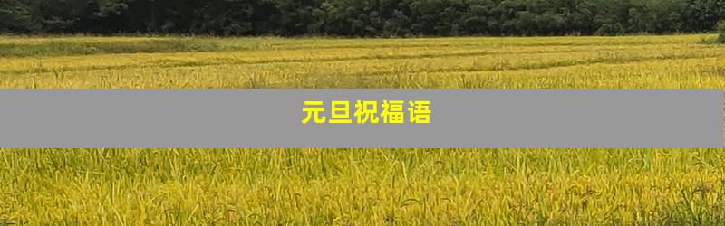 元旦祝福语