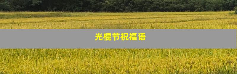 光棍节祝福语