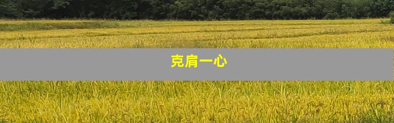 克肩一心