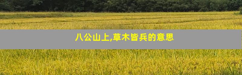 八公山上,草木皆兵的意思