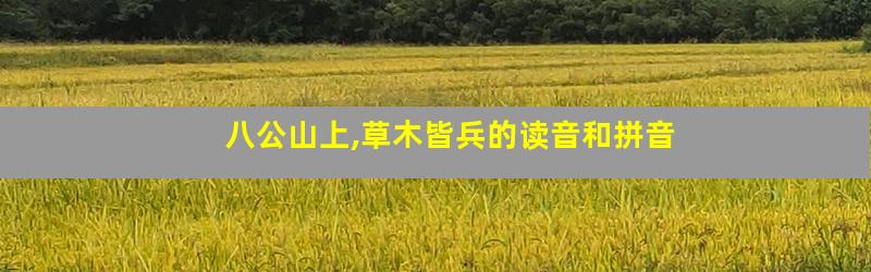 八公山上,草木皆兵的读音和拼音