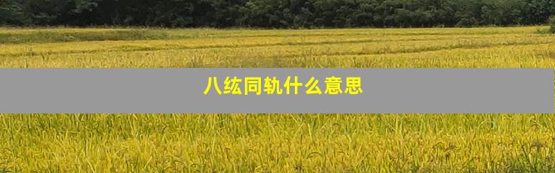 八纮同轨什么意思