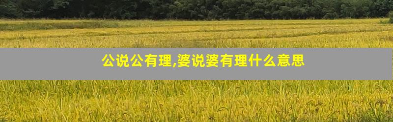 公说公有理,婆说婆有理什么意思