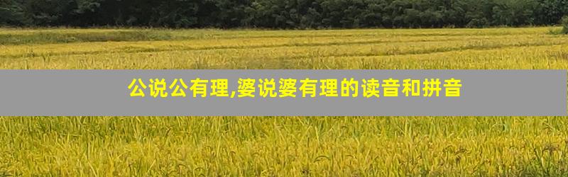 公说公有理,婆说婆有理的读音和拼音