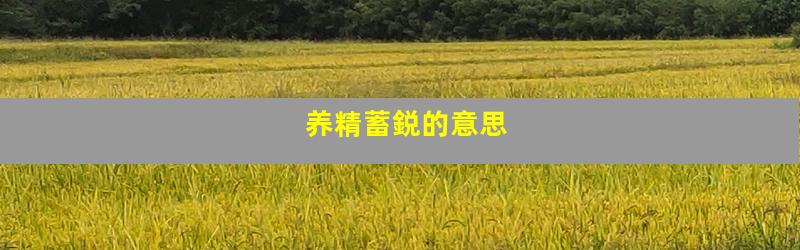 养精蓄鋭的意思