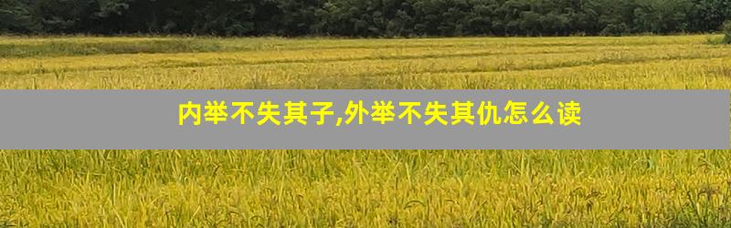 内举不失其子,外举不失其仇怎么读