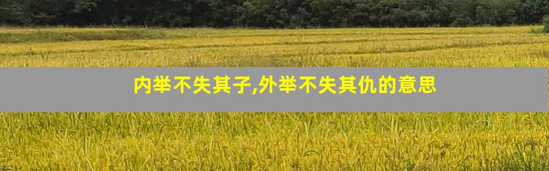内举不失其子,外举不失其仇的意思