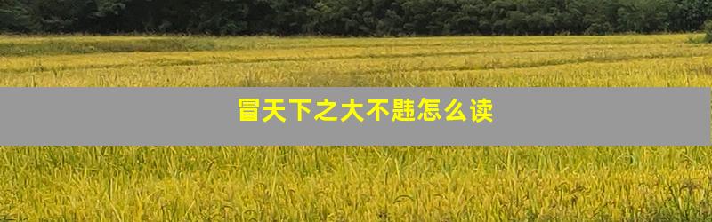 冒天下之大不韪怎么读