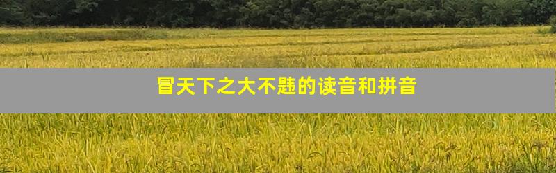 冒天下之大不韪的读音和拼音
