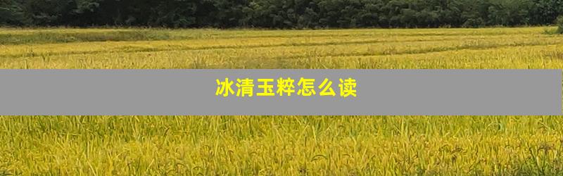 冰清玉粹怎么读