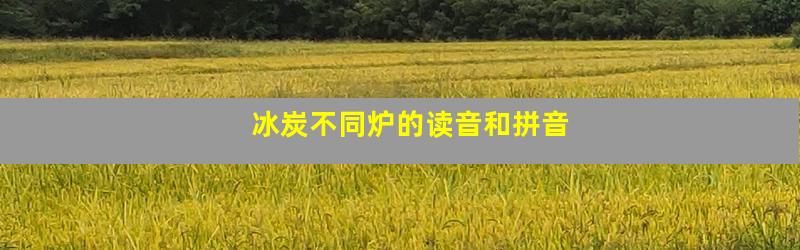 冰炭不同炉的读音和拼音