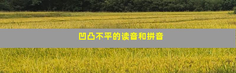 凹凸不平的读音和拼音