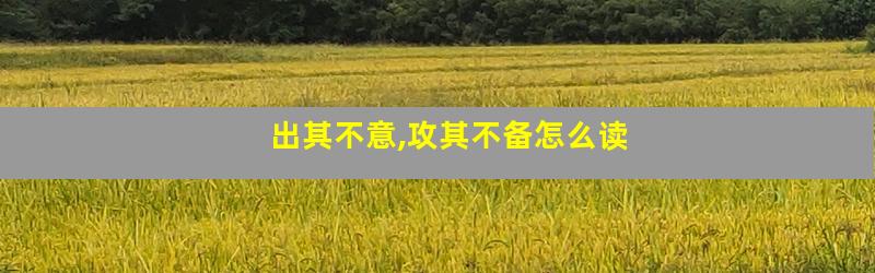 出其不意,攻其不备怎么读