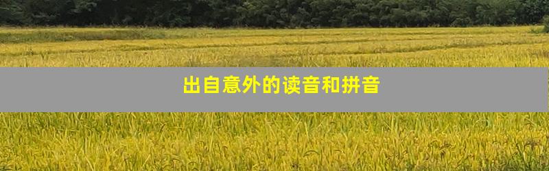 出自意外的读音和拼音