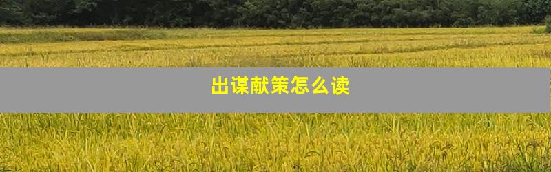 出谋献策怎么读