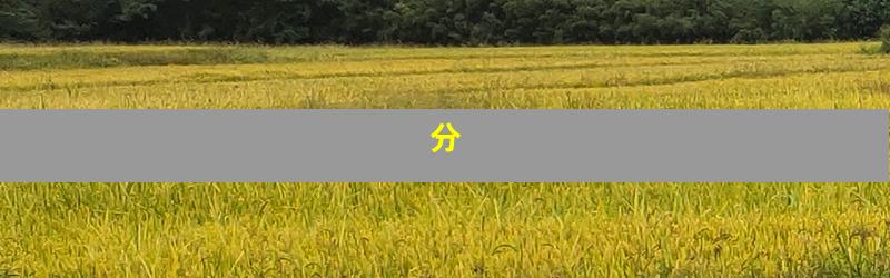 分