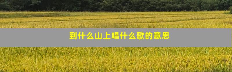 到什么山上唱什么歌的意思
