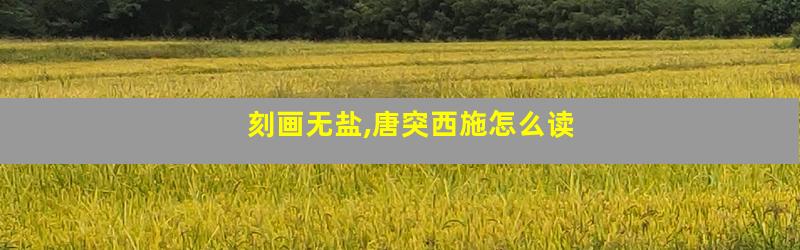 刻画无盐,唐突西施怎么读