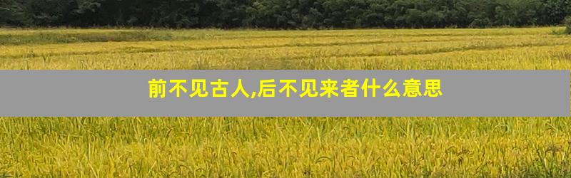 前不见古人,后不见来者什么意思