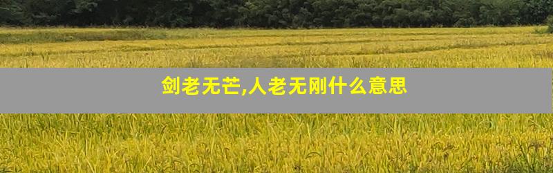 剑老无芒,人老无刚什么意思