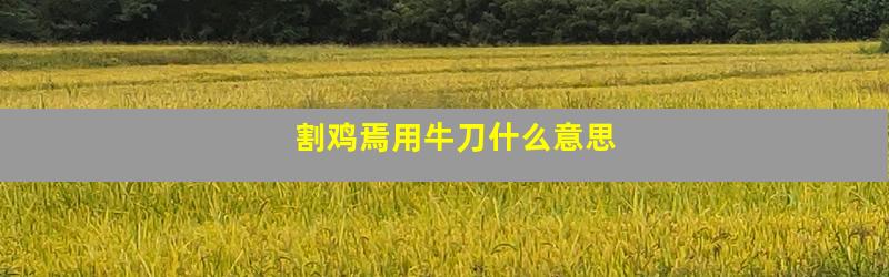 割鸡焉用牛刀什么意思