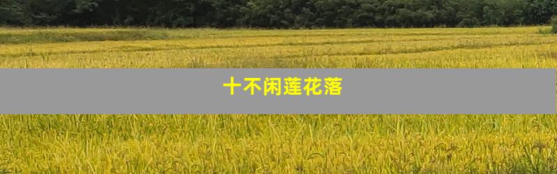 十不闲莲花落