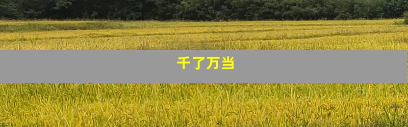 千了万当