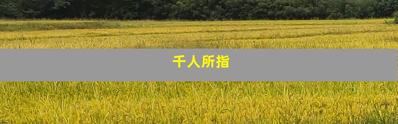 千人所指