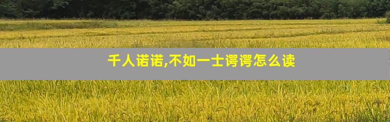 千人诺诺,不如一士谔谔怎么读