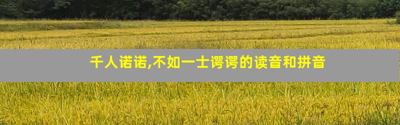 千人诺诺,不如一士谔谔的读音和拼音
