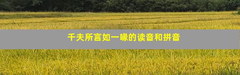 千夫所言如一喙的读音和拼音