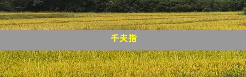 千夫指