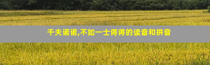 千夫诺诺,不如一士谔谔的读音和拼音
