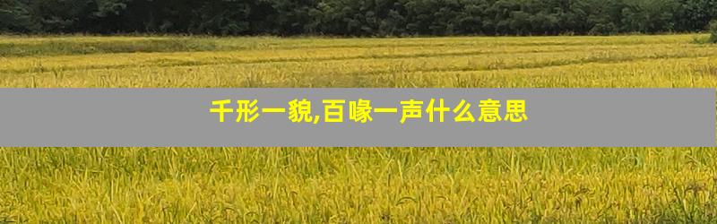 千形一貌,百喙一声什么意思