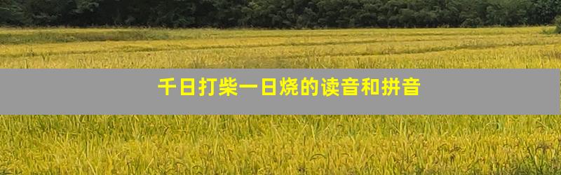千日打柴一日烧的读音和拼音