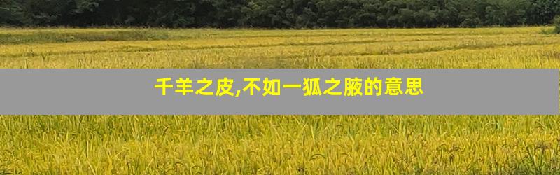 千羊之皮,不如一狐之腋的意思