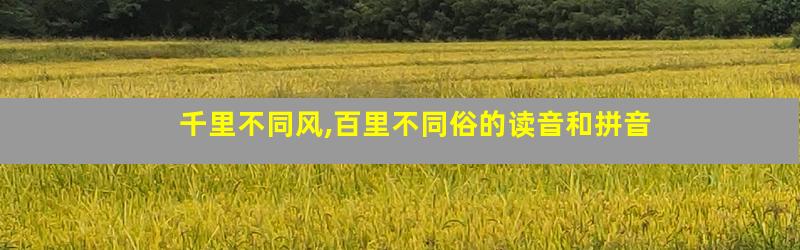 千里不同风,百里不同俗的读音和拼音