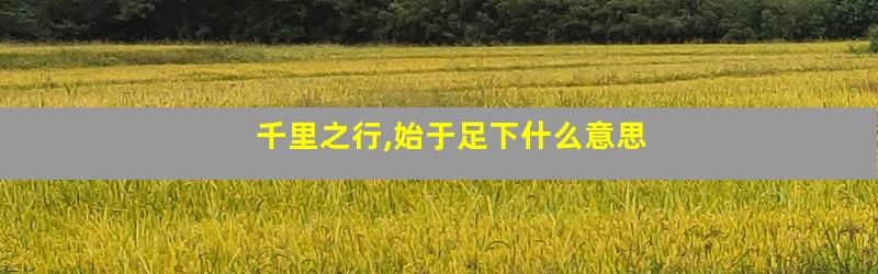 千里之行,始于足下什么意思