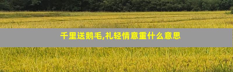 千里送鹅毛,礼轻情意重什么意思