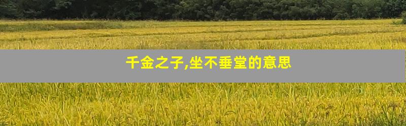 千金之子,坐不垂堂的意思