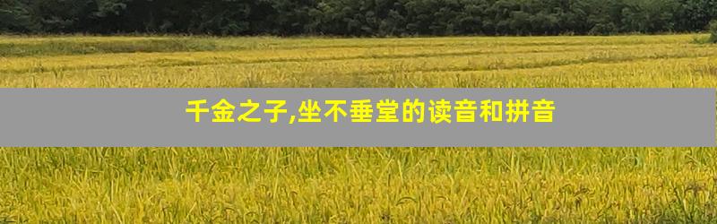 千金之子,坐不垂堂的读音和拼音
