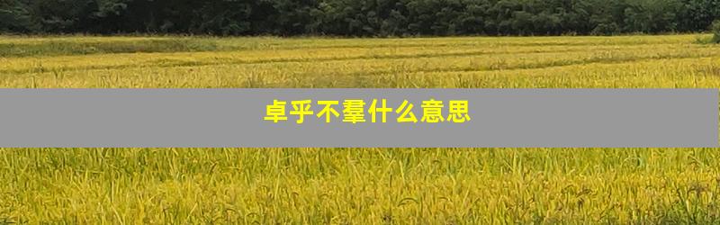 卓乎不羣什么意思