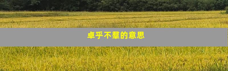 卓乎不羣的意思
