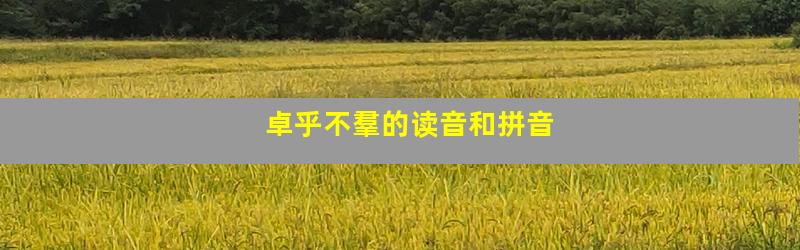 卓乎不羣的读音和拼音