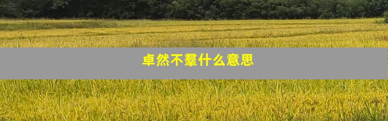 卓然不羣什么意思