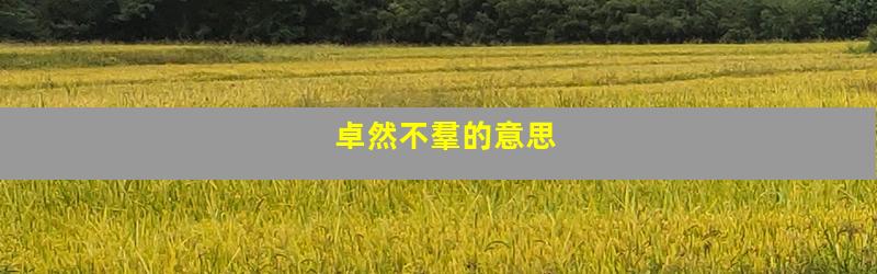 卓然不羣的意思