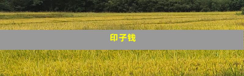 印子钱